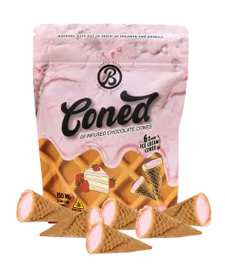 Home 2 Baked Bags Coned